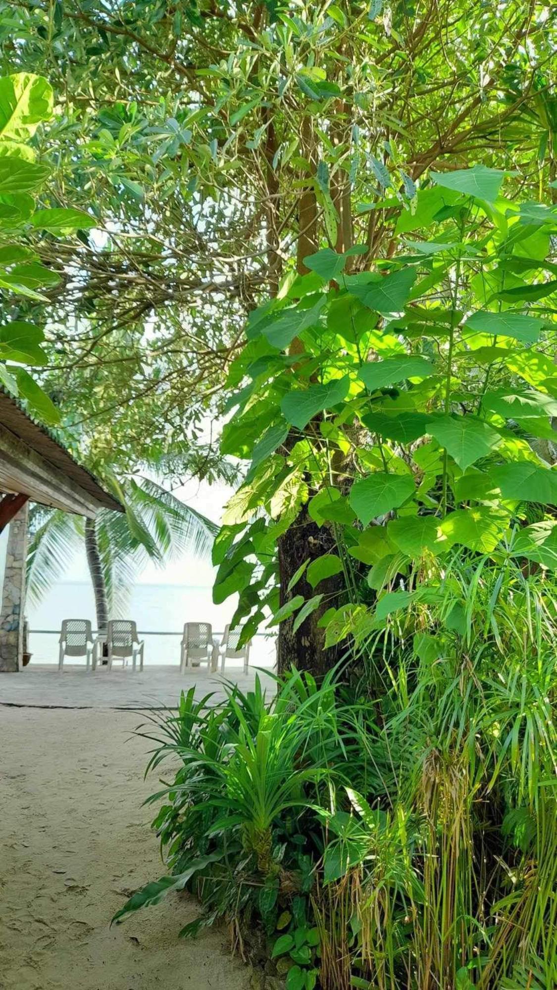 Beer'S House Bungalows เบียร์เฮ้าส์บังกะโล Ban Lamai Luaran gambar