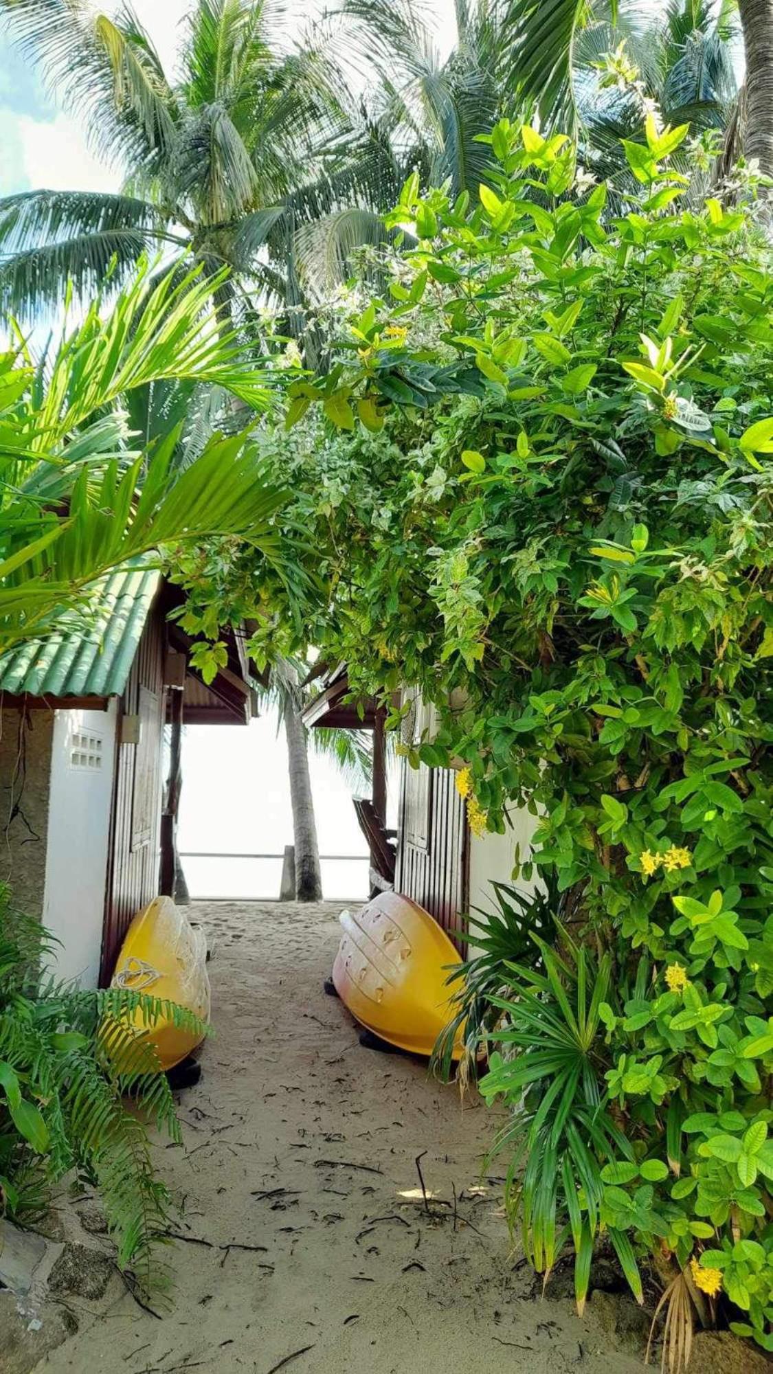 Beer'S House Bungalows เบียร์เฮ้าส์บังกะโล Ban Lamai Luaran gambar